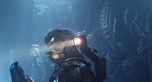Movies chosen by the community that you should watch this Halloween