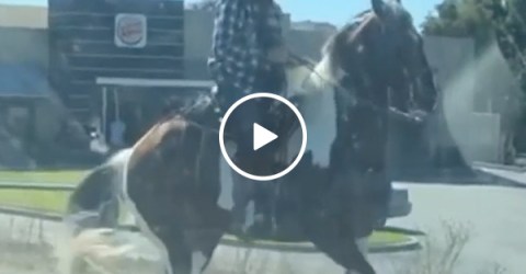 Dancing horse has the hooves with the moves (Video)