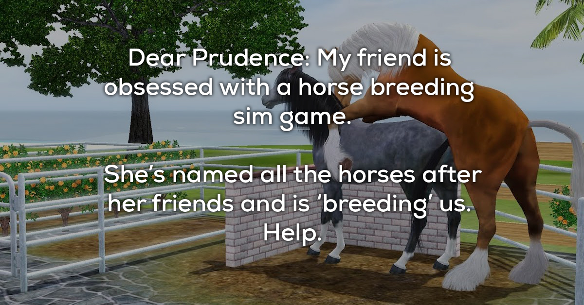 Horsebreeding video game player has a disturbing fetish (X Photos)