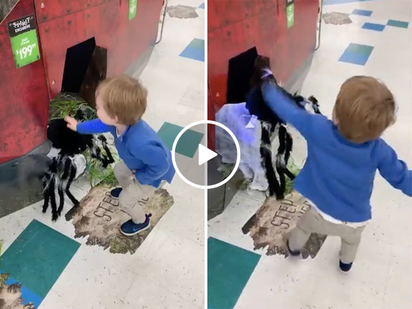 On the streets, this kid is known as Charlie the spider smasher (Video)