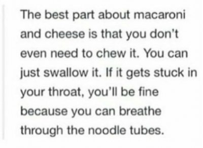 Memes For Anyone Who Loves Mac N Cheese Thechive