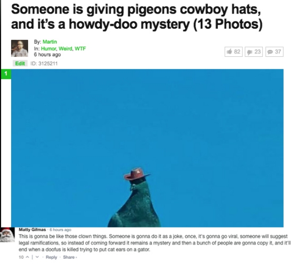 A silly & perfectly crafted bunch of fun comments