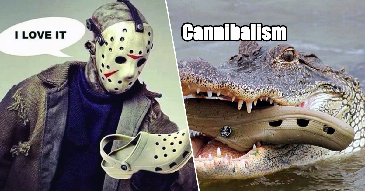 Funny gallery of the best Croc shoe memes from around the