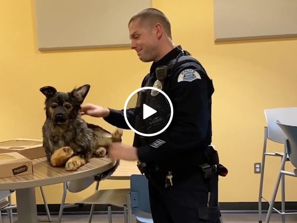 Chocked Up Officer Gets A Memorial Toy Of His Lost K-9 Partner (Video)