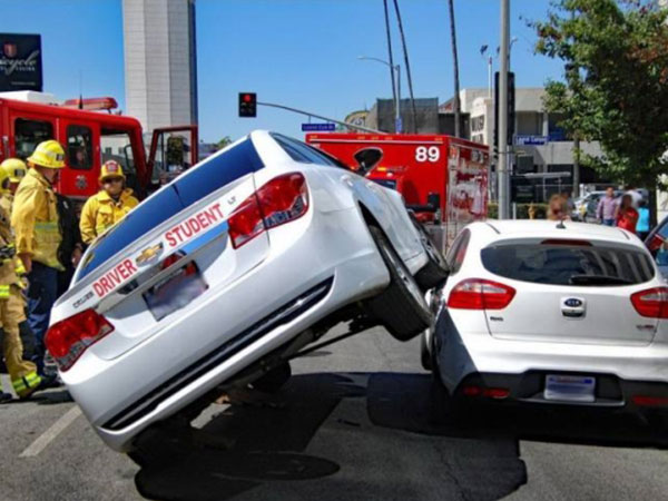 Thechive Funny Pictures Photos Memes Videos Thechive Com