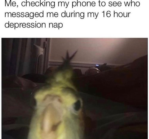 the things people really really regret finding out 8 The terrible secrets people wish theyd never, ever learned