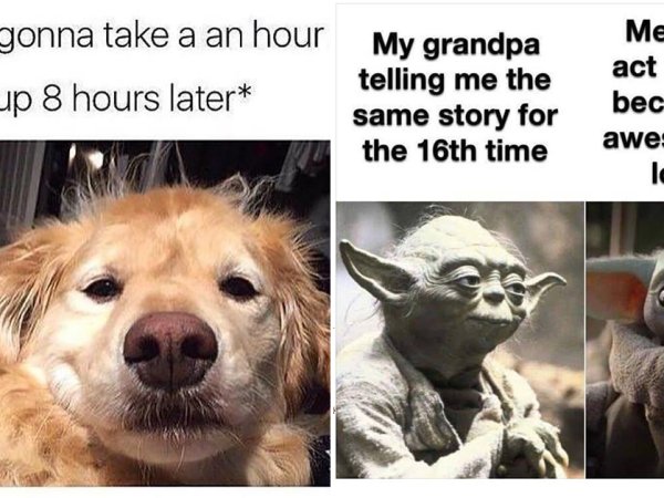 Thechive Funny Pictures Photos Memes Videos Thechive Com