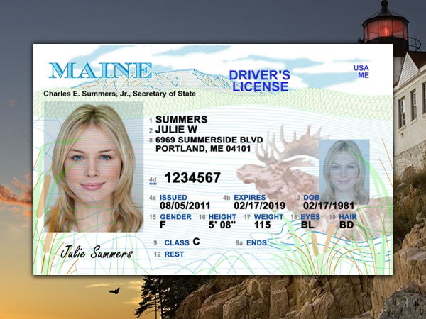 What Driver S Licenses Look Like In Each State Thechive