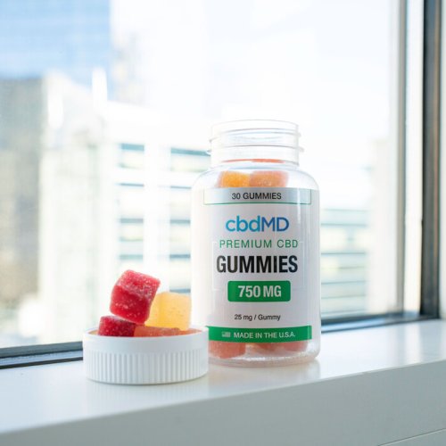 there goes my paycheck 21 There goes my paycheck (15 Photos)