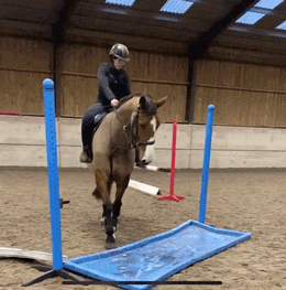 weekend-morning-awesomeness-36-photos-3.gif