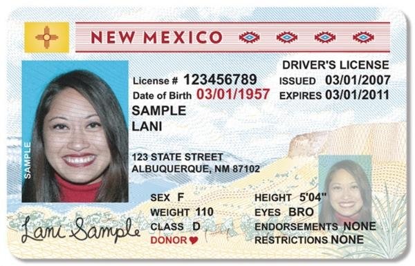 What Driver's Licenses Look Like In Each State