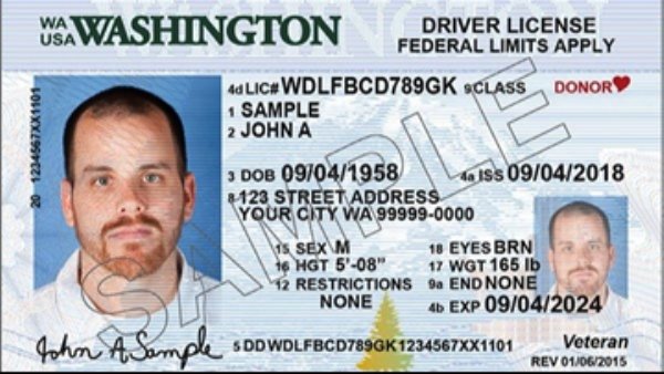 What Driver's Licenses Look Like In Each State