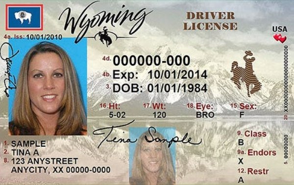 State License What Driver's Licenses Look Like In Each State