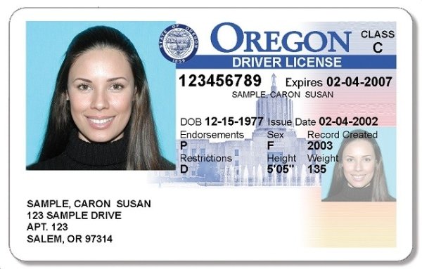 State License What Driver's Licenses Look Like In Each State