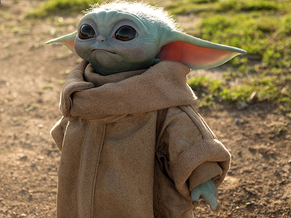 Baby Yoda: the charismatic floppy-eared one will surely be the next Bond –  The Irish Times