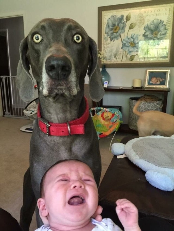 daily-morning-awesomeness-35-photos-9.jpg