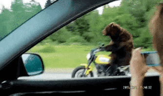 f0b637ffe5f4b38636249f535dfbe615.gif?w=3