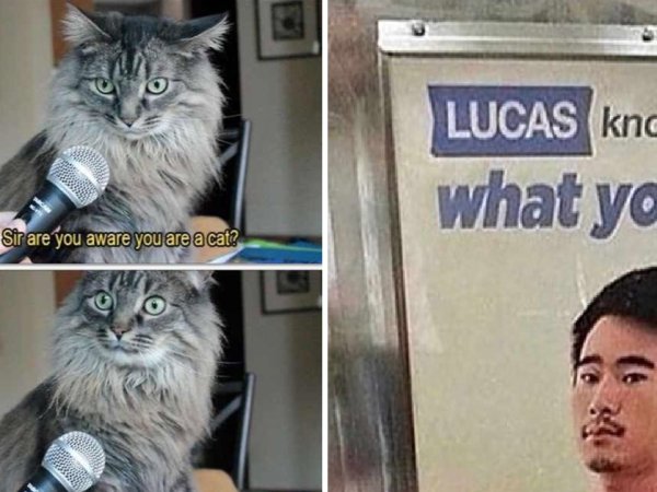 Thechive Funny Pictures Photos Memes Videos Thechive Com