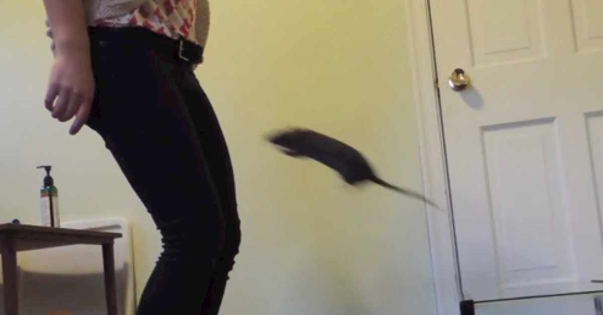 Daily Morning Awesomeness is a Hump Day Miracle! : theCHIVE