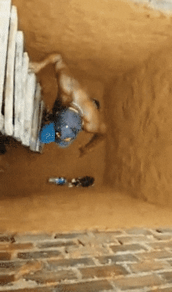 weekend-morning-awesomeness-38-photos-6-1.gif