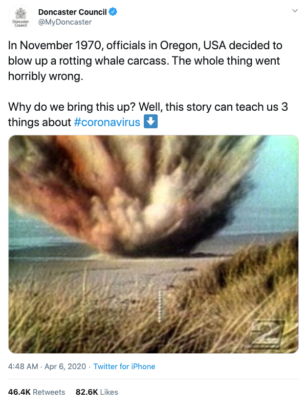 xx photos 1 50 years later, the exploding whale of Oregon can still teach us a few things (15 Photos)