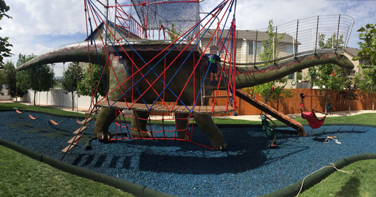 dinosaur play gym