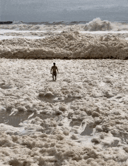 daily-morning-awesomeness-38-photos-3-1.gif