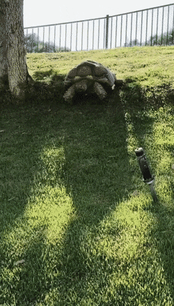 daily-morning-awesomeness-40-photos-608-6.gif