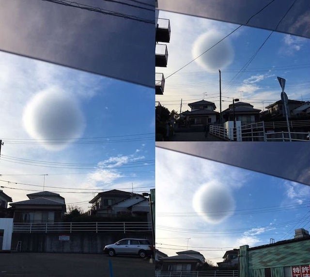 nature-is-fing-crazy-xx-gifs-5.jpg
