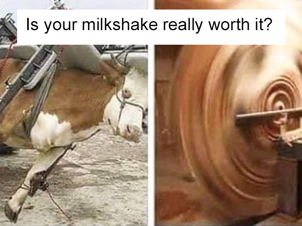 #Funny Images (हँसता हुआ धर्म ): Submit More iCHIVE CHIVE.TV Chive