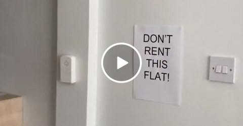 Tenant posts scathing video of apartment after being forced out (Video)