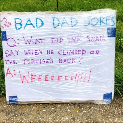 Bad Funny Best Dad Jokes