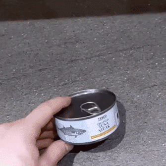 daily-morning-awesomeness-36-photos-7.gif