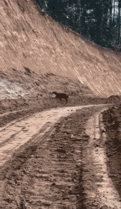 daily-morning-awesomeness-38-photos-3-5.gif
