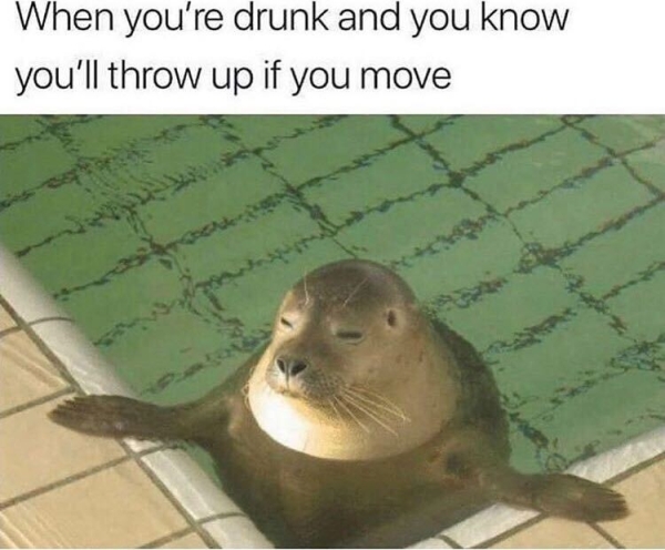 So....you got absolutely WASTED!? (35 Photos)
