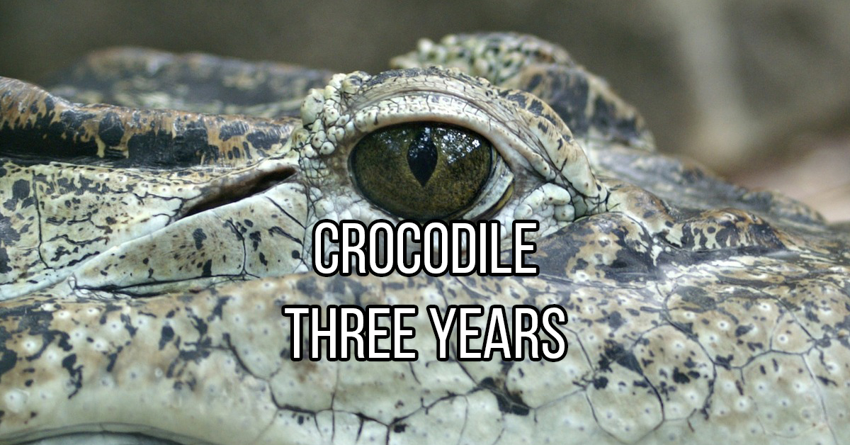 10 animals that can survive a long time without food theCHIVE