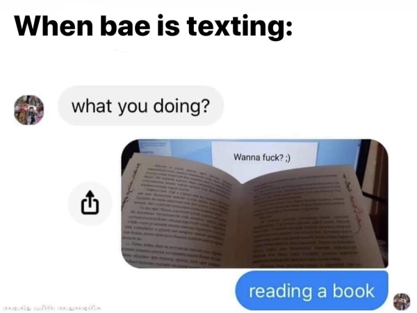 34 Funny Dirty Memes To Send To Your Crush - theCHIVE