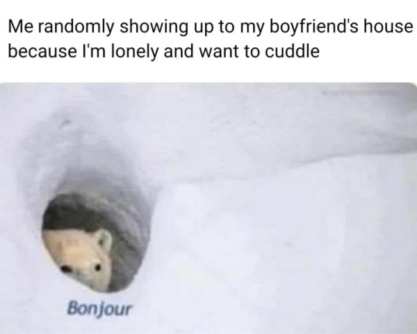 34 Funny Dirty Memes To Send To Your Crush - theCHIVE