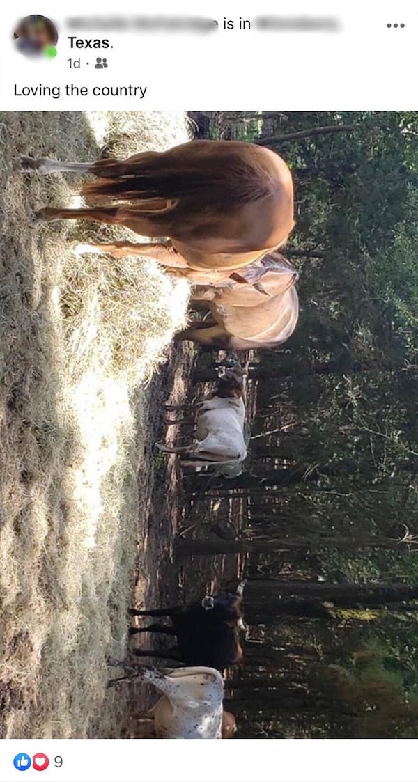 Old Folks + The = Disaster