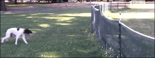 5f59590d6afbc0b9f6ea7cc43b190b90.gif