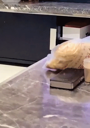 Some-Animals-Just-Want-To-Watch-The-World-Burn-Funny-GIFs-Humor-00012.gif