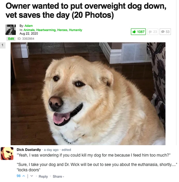 You want top notch comments, you'll get TOP NOTCH COMMENTS