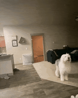 weekend-morning-awesomeness-38-photos-4-1.gif