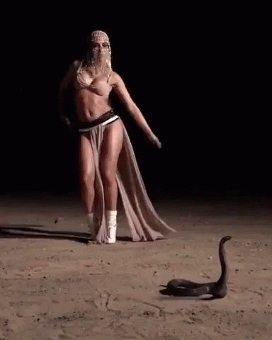 e4fafb388156040f6c29fef10be39dd1.gif