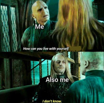 Harry Potter Memes for some Weasleys Wizard Wheezes
