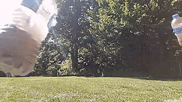 41512e71e45584153d4dfe937e17971c.gif