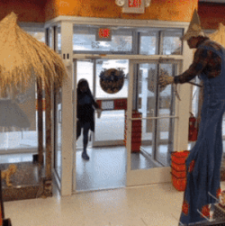 98dd6cc7d4f2116d5afe3339e8799252_width-300.gif