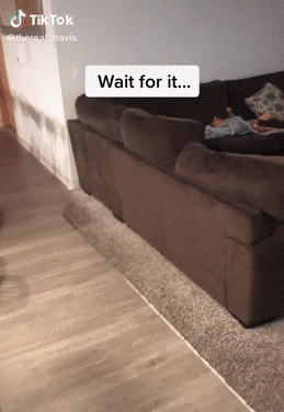 daily-morning-awesomeness-38-photos-4-3.gif