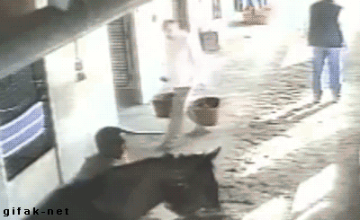 daily-morning-awesomeness-38-photos-5-4.gif