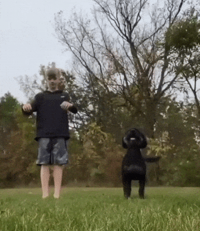 daily-morning-awesomeness-4.gif